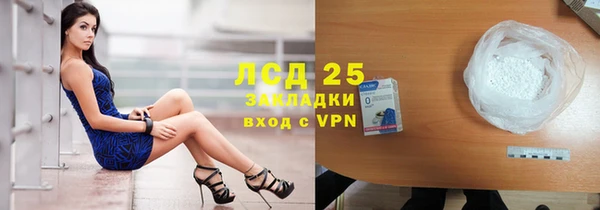 прущие грибы Бронницы