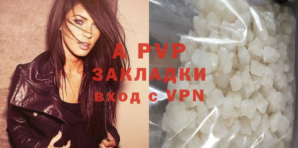 прущие грибы Бронницы