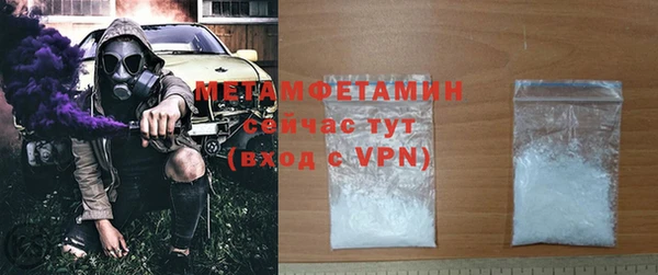прущие грибы Бронницы