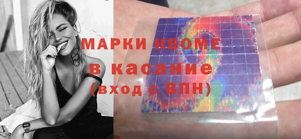 прущие грибы Бронницы