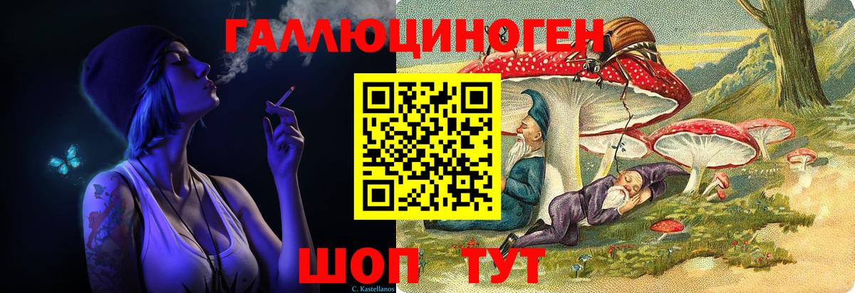 Галлюциногенные грибы Psilocybe  наркотики  Северск  Вход с VPN 